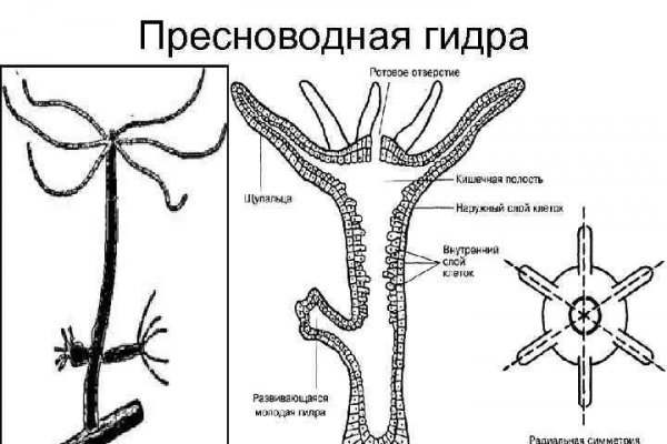 Кракен сайт войти