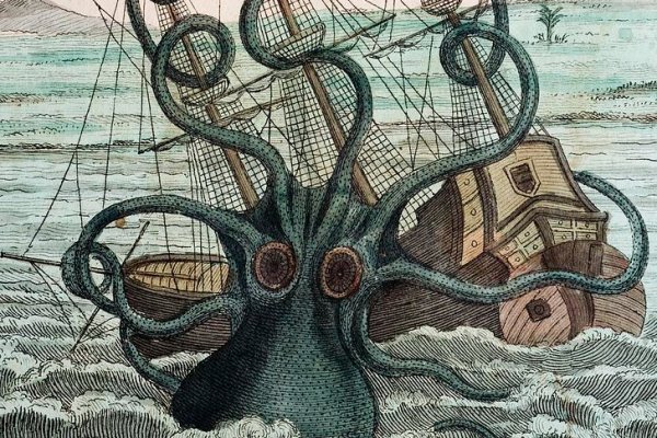 Как вывести деньги с kraken